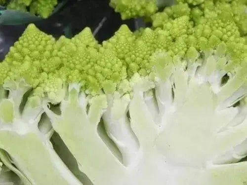 Cauliflower Seed, Veronica (F1) VEGETABLE - Caribbean garden seed