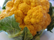 Cauliflower seeds - CHEDDAR~ Bright orange heads. - Caribbean garden seed