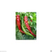 Cayenne Large Red -(3 LIVE PEPPER PANTS - 3' POT) Capsicum annuum - Caribbean garden seed