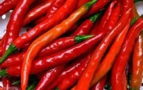 Cayenne SWEET, Pepper Seeds -Capsicum annuum - Caribbean garden seed