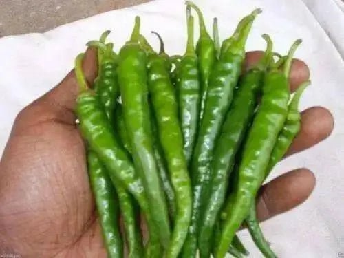 Cayenne SWEET, Pepper Seeds -Capsicum annuum - Caribbean garden seed