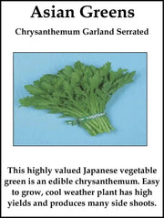 Chrysanthemum Greens, Serrated Leaf (Glebionis coronaria) Asian Vegetable Seeds-,Asian Vegetable Seeds,use like spinach - Caribbeangardenseed