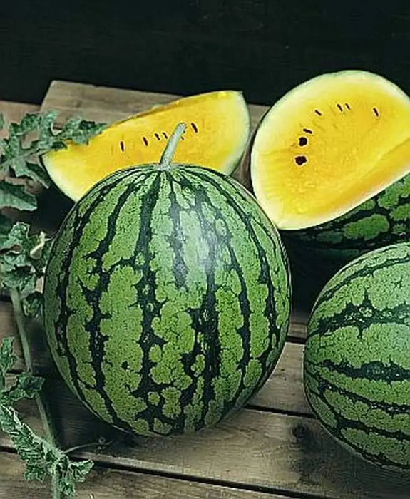 YELLOW Crimson Sweet-Watermelon seeds - non-GMO Heirloom - Caribbeangardenseed