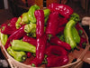 Cubanelles seeds, Italian Frying &,Pickling PEPPER ,Capsicum annuum. - Caribbean garden seed