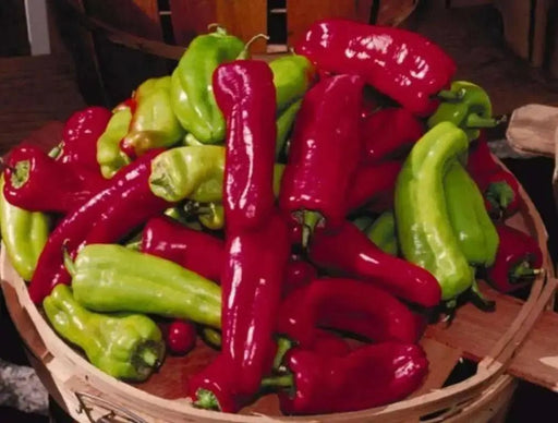 Cubanelles seeds, Italian Frying &,Pickling PEPPER ,Capsicum annuum. - Caribbean garden seed