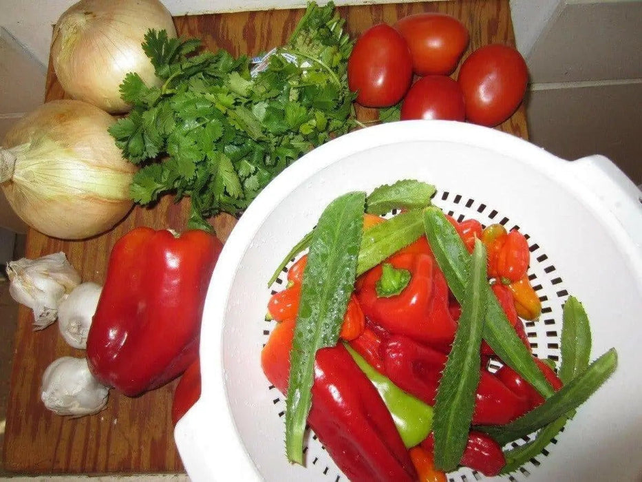 Cubanelles seeds, Italian Frying &,Pickling PEPPER ,Capsicum annuum. - Caribbean garden seed