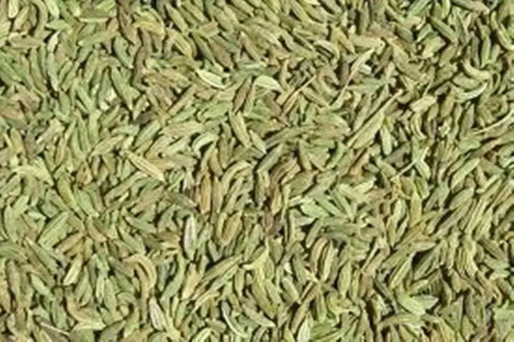 Cumin Plant Seeds (Cuminum Cyminum) - Caribbean garden seed