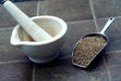 Cumin Plant Seeds (Cuminum Cyminum) - Caribbean garden seed