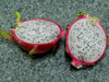 Dragon Fruit,  seeds (Hylocereus undatus) Open Pollinated-Perennial cactus - Caribbean garden seed