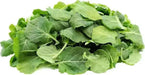 DWARF Siberian Kale, Babyleaf/Microgreen/full leaf harvests, Vegetable Seeds, - Caribbean garden seed