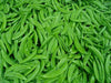 Dwarf Sugar Grey Snow Pea, Asian Vegetable - Caribbean garden seed
