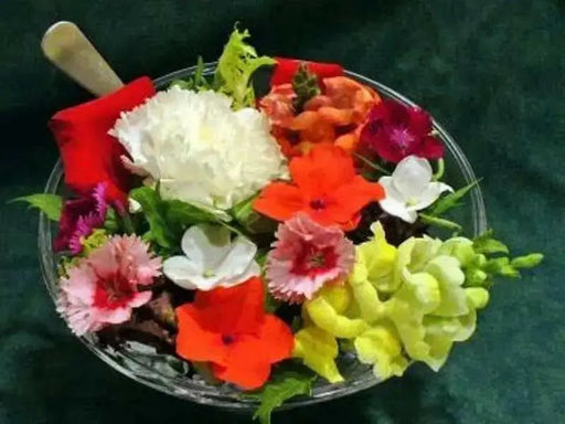 Edible Flower Seed-Mix -Fragrant, Colorful - Caribbean garden seed