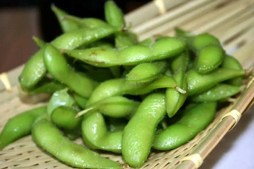 Edible soybean, called Edamame in Japan and Mao Dou in China - Caribbean garden seed