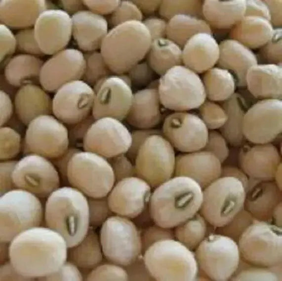 Elite cowpea SEEDS ,Southern Peas - Caribbean garden seed