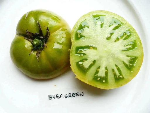 Emerald Evergreen Tomato seeds ,Open pollinated - Caribbean garden seed