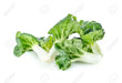 EXTRA DWARF Pak Choi  Seeds ,white cabbage, ASIAN VEGETABLE - Caribbean garden seed