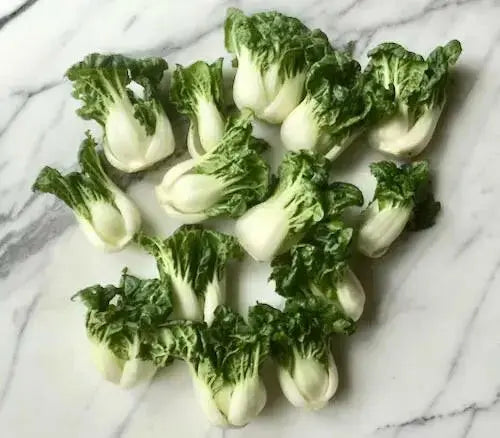 EXTRA DWARF Pak Choi  Seeds ,white cabbage, ASIAN VEGETABLE - Caribbean garden seed