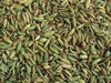 FENNEL HERB SEEDS - Caribbean garden seed