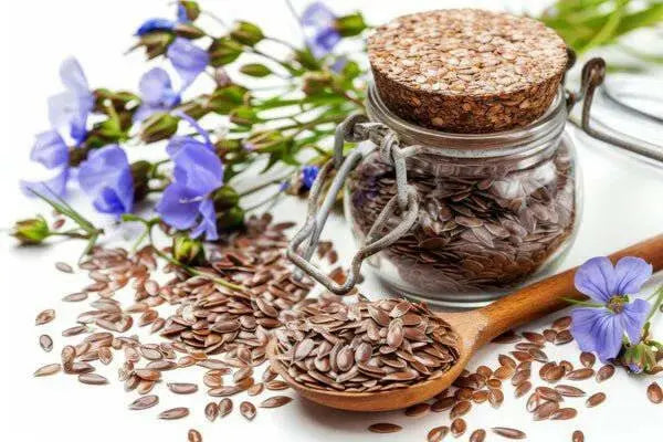 Flaxseed ,Alsi Seed ,Linseed - READY TO USE Herb, jamaican linseed - Caribbean garden seed