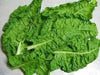 Fordhook White Giant Swiss Chard  ,VEGETABLE Seeds-Biannual ! - Caribbean garden seed