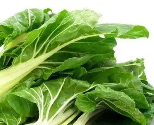 Fordhook White Giant Swiss Chard  ,VEGETABLE Seeds-Biannual ! - Caribbean garden seed