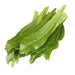 Fresh Culantro Leaves  “shado beni” ( bundle) CARIBBEAN PRODUCT, ship year round - Caribbean garden seed