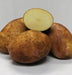 Gold Rush Potato Seed/ Tubers,The best-eating early russet.. - Caribbeangardenseed