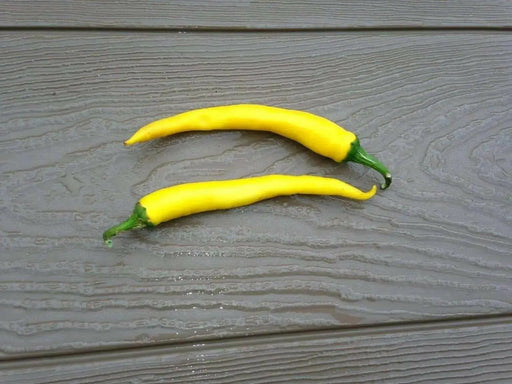 Golden Cayenne ,Pepper SEEDS- (Capsicum annuum)  hot - Caribbean garden seed