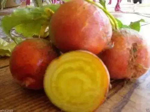 Golden Detroit BEETS (300+ Seeds) Heirloom, - Caribbean garden seed