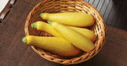 Goldprize Straightneck, Summer Squash Seeds, ANNUAL VEGETABLE ! - Caribbean garden seed