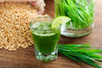 Hard Red Wheat Seed,Grow Wheatgrass, Flour,Grain,Bread, - High Germination - Caribbean garden seed