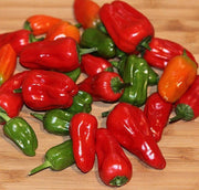 Hinkelhatz AKA Chicken Heart Pepper (Capsicum annuum) Cultivated Here In Pennsylvania by the Dutch since the 1880s-Organically Grown