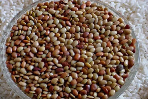 Horse gram BUSH Bean, seeds, (Indian name: Kulthi) Macrotyloma uniflorum, - Caribbeangardenseed