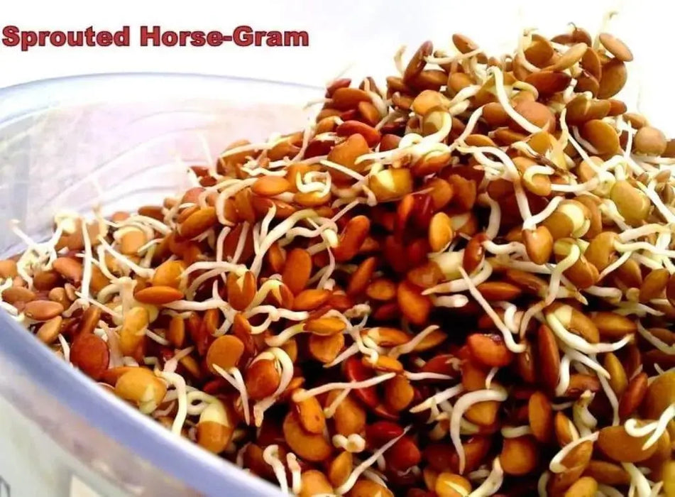 Horse gram BUSH Bean, seeds, (Indian name: Kulthi) Macrotyloma uniflorum, - Caribbeangardenseed