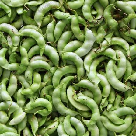 Surti Papdi Bush Hyacinth Bean Seeds (Dolichos lablab) KHYATI