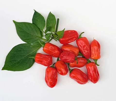 Zavory Mild Habanero Pepper Seeds