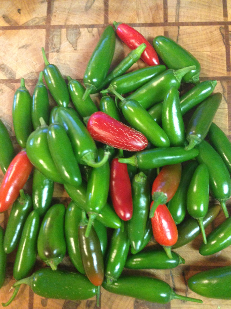 Fooled You Jalapeno Hot Peppers Seeds