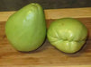 JAMAICAN cho-cho,Chayote squash, christophine - Caribbean garden seed