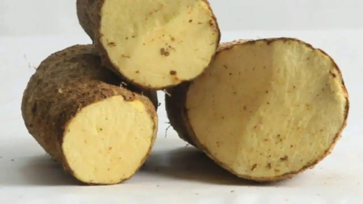 Jamaican Yellow Yam ,CARIBBEAN FRESH produce - Caribbeangardenseed