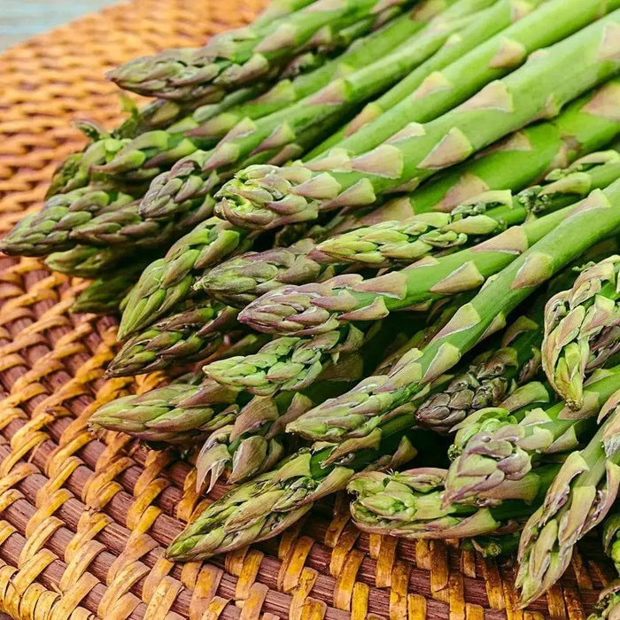 Jersey Supreme Asparagus Bare Root Plants, PERENNIAL Vegetable - Caribbeangardenseed