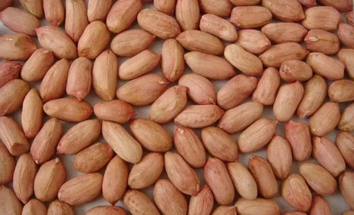 Jumbo Virginia Peanuts . Untreated Seeds ,Heirloom Organically Grown - Caribbeangardenseed