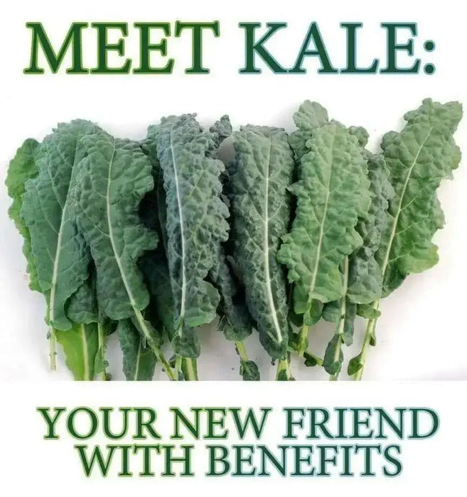 CURLED Kale Vegetable Seeds. microgreens - Caribbean garden seed