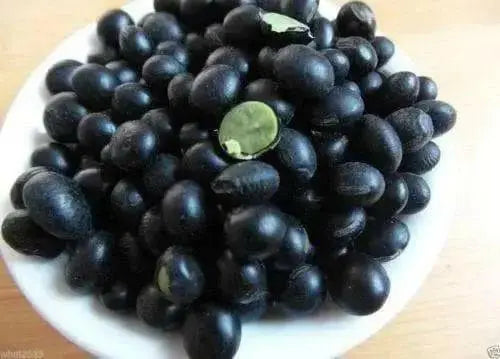 Korean Black Soybean Seeds,Edible soybean,asian vegetable - Caribbean garden seed