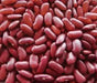 LARGE DARK RED, Kidney BUSH Bean,500 Seeds, JAMAICAN - Caribbean garden seed