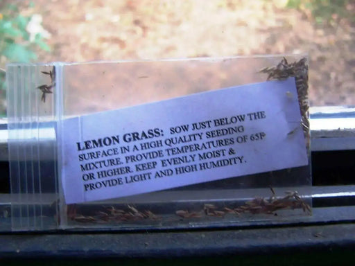 Lemon Grass Herb Seeds - jamaican Fever grass - Caribbean garden seed