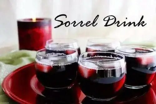 live Jamaican Sorrel ,Indian Roselle, Florida ( LIVES PLANTS ) CARIBBEAN PRODUCT - Caribbean garden seed