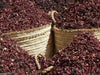 live Jamaican Sorrel ,Indian Roselle, Florida ( LIVES PLANTS ) CARIBBEAN PRODUCT - Caribbean garden seed