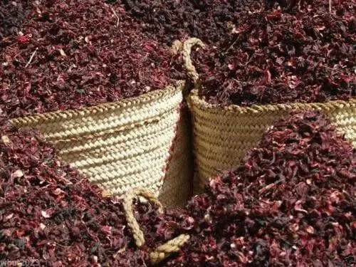 live Jamaican Sorrel ,Indian Roselle, Florida ( LIVES PLANTS ) CARIBBEAN PRODUCT - Caribbean garden seed