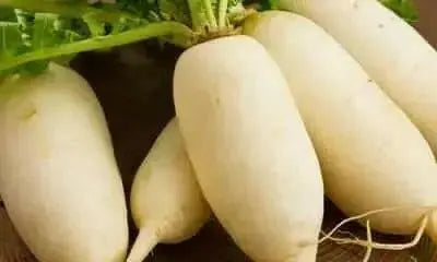 Luo Buo ,GIANT WHITE RADISH SEEDS, Asian Vegetable - Caribbean garden seed