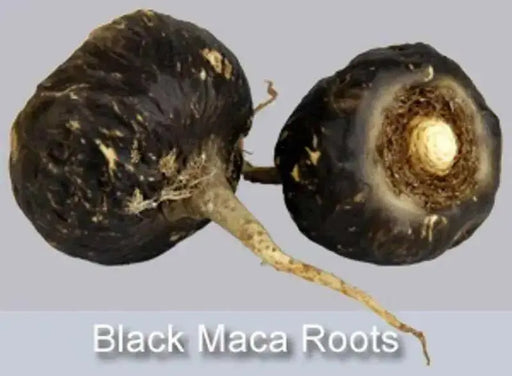 Maca Seeds, BLACK , Peruvian Ginseng, - Caribbean garden seed